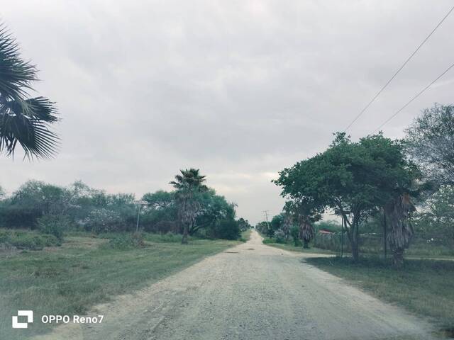 Terreno para Venta en Montemorelos - 4