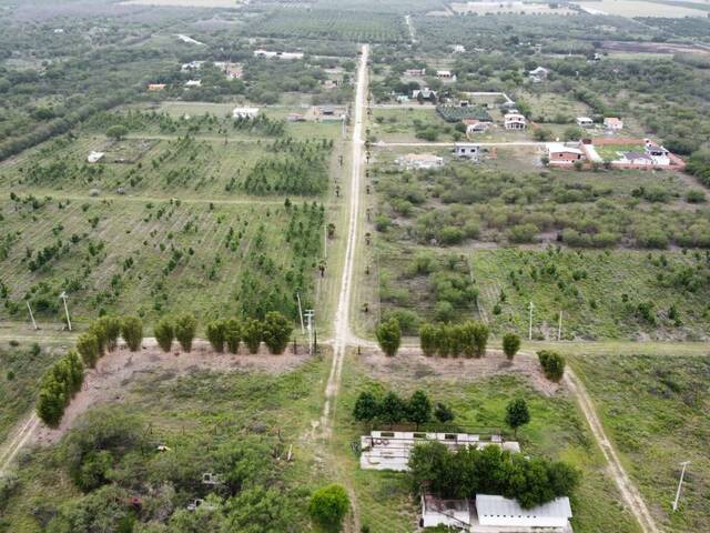 Terreno para Venta en Montemorelos - 5