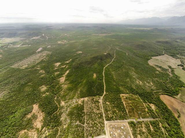 Área para Venta en Montemorelos - 5
