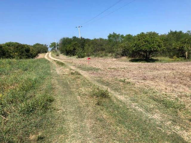 Área para Venta en Allende - 4