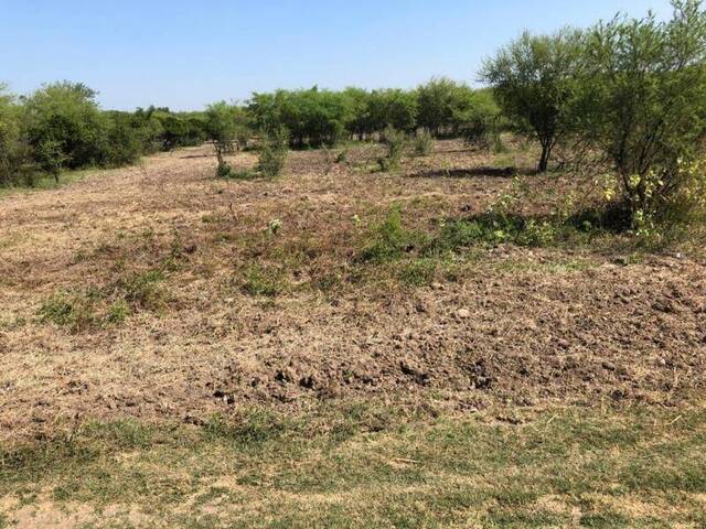 Área para Venta en Allende - 5