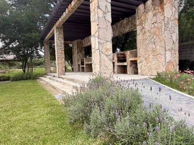 #46 - Área para Venta en Montemorelos - NL